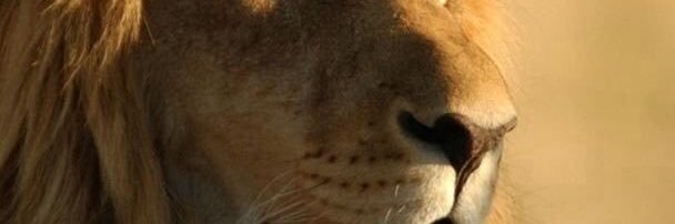 Kurun44's profile banner image
