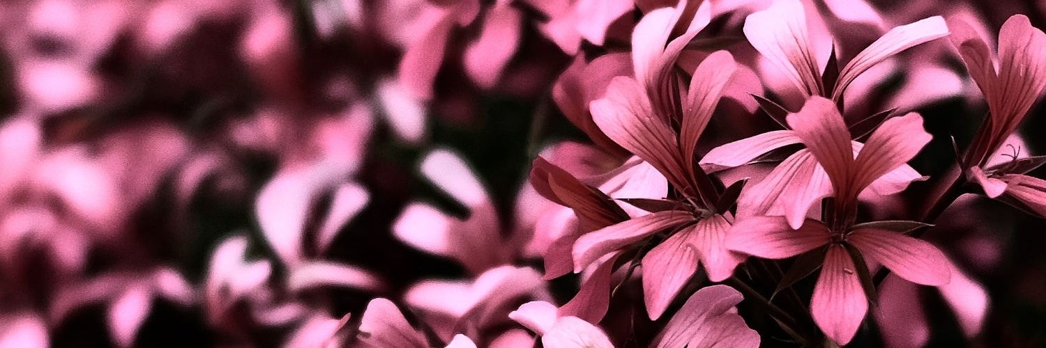 arejrro's profile banner image