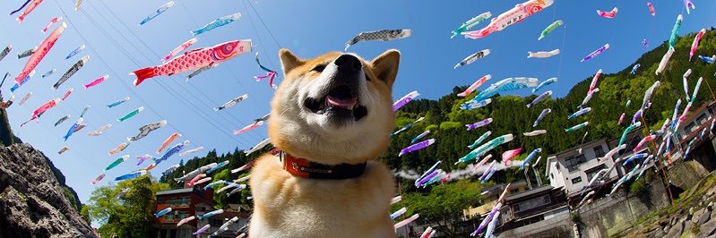 IHchan_dk's profile banner image