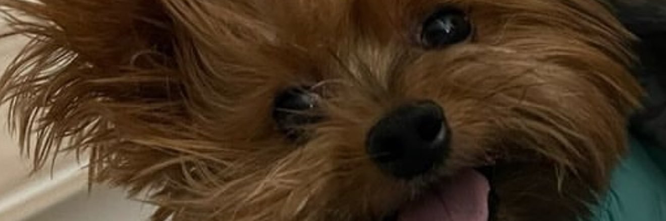 16Angiee's profile banner image