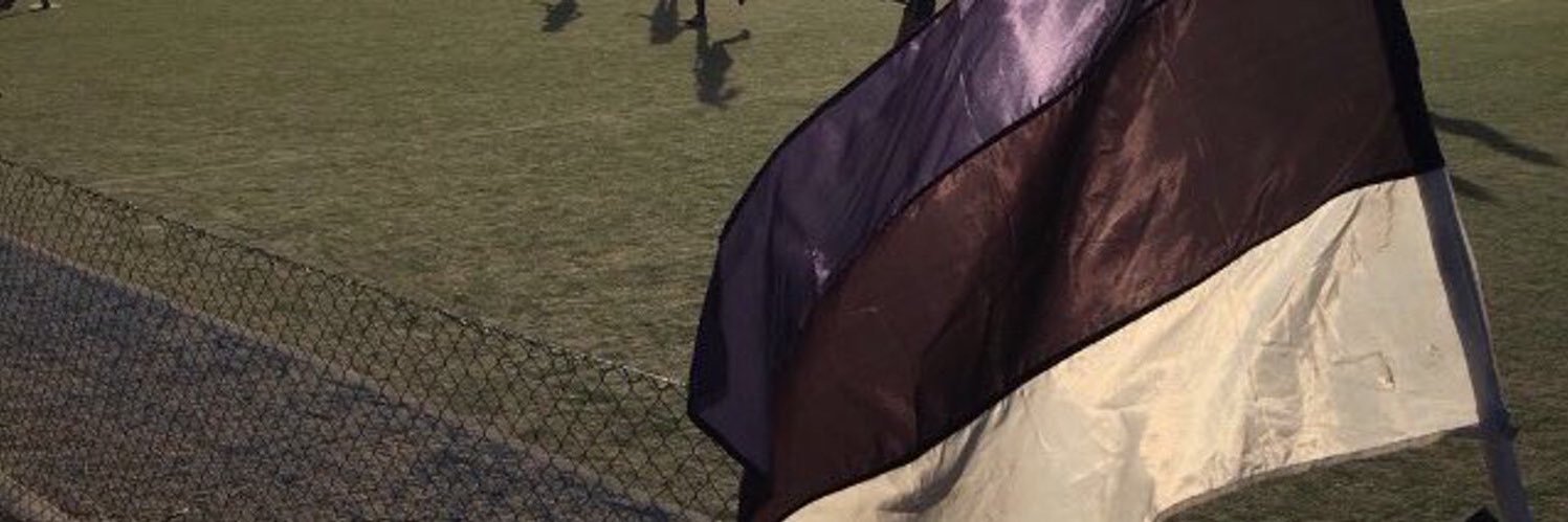 TriniLasarte's profile banner image