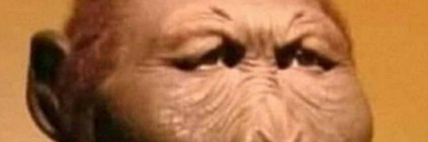 imTushal's profile banner image