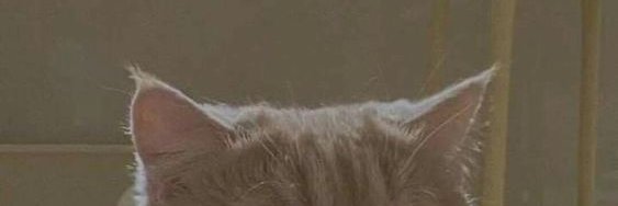 __pmika's profile banner image