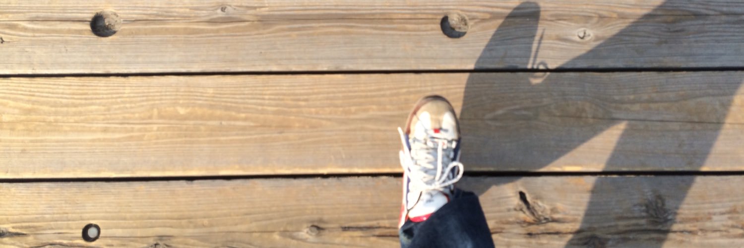 snapball's profile banner image