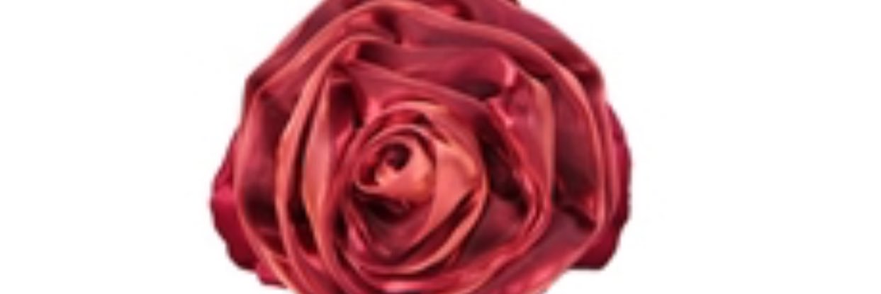 zinab1431h's profile banner image