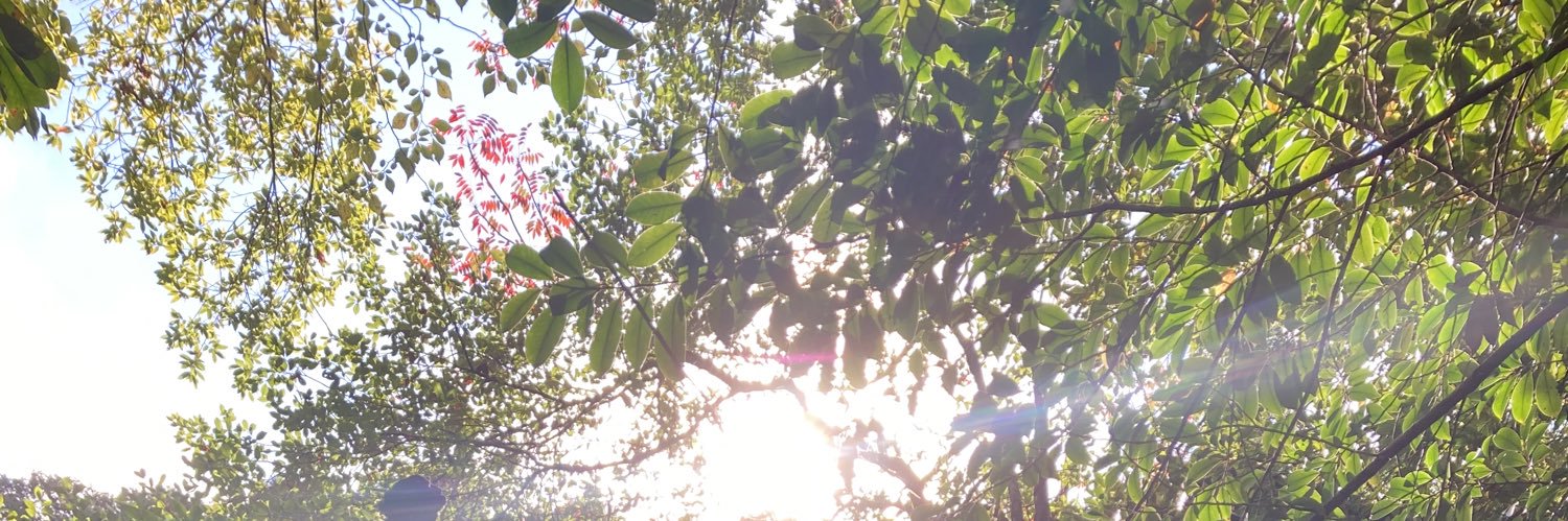 waherb777's profile banner image