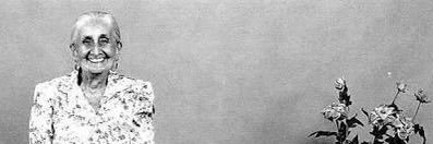 Vitor Pavanelli banner