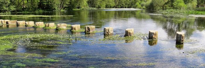 proxecto rios banner