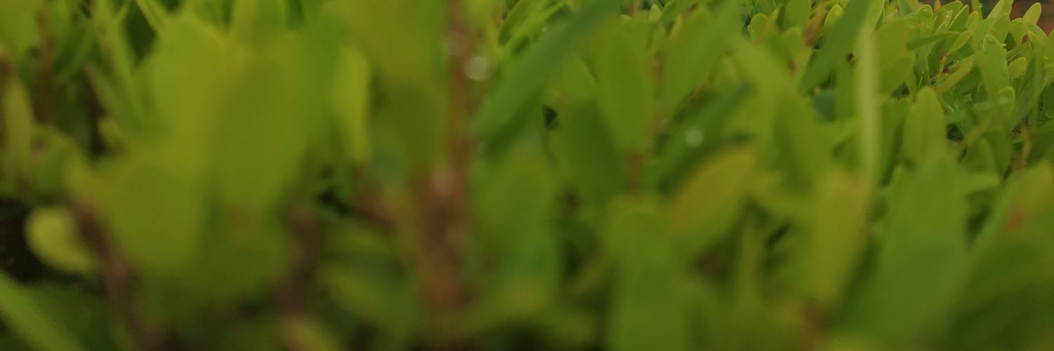 Ahilmurugesan1's profile banner image