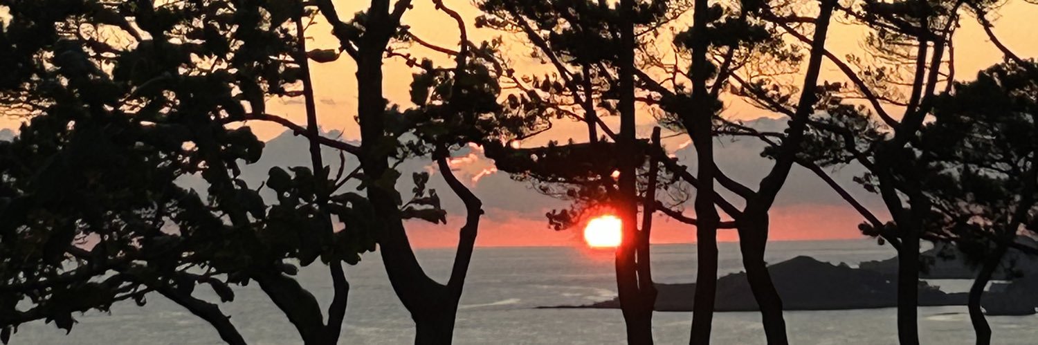 lou_trois's profile banner image