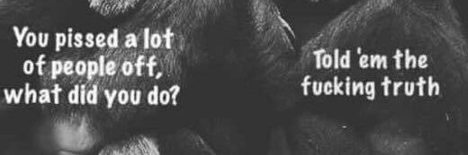 LydiaS_1995's profile banner image