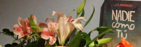 AbelAlexanderAl's profile banner image