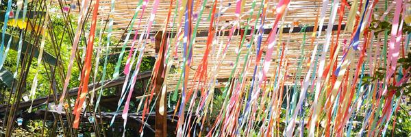 sumaoone Profile Banner