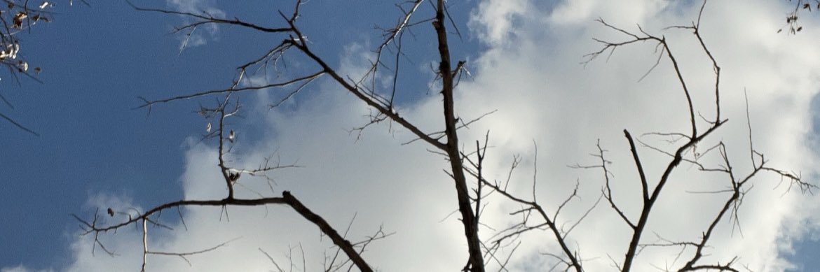 bammark1ab's profile banner image