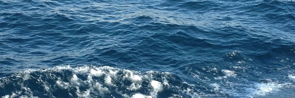 charitychick's profile banner image