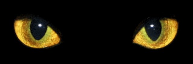 jpppants's profile banner image
