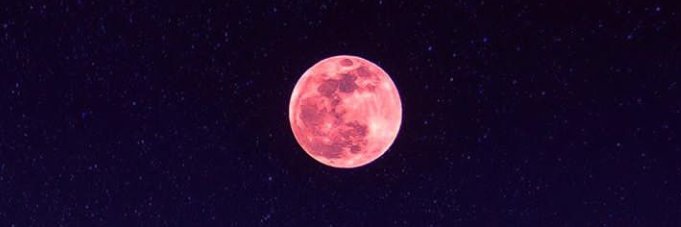Delldera's profile banner image