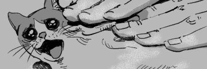 timp_Kcat's profile banner image