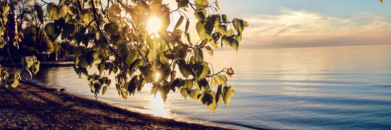 indi_lim's profile banner image