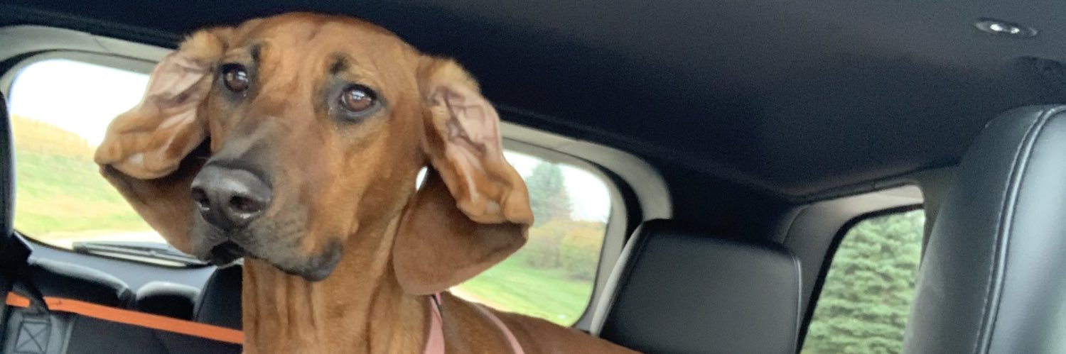 carllllsss's profile banner image