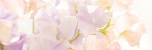 taaaagu_'s profile banner image