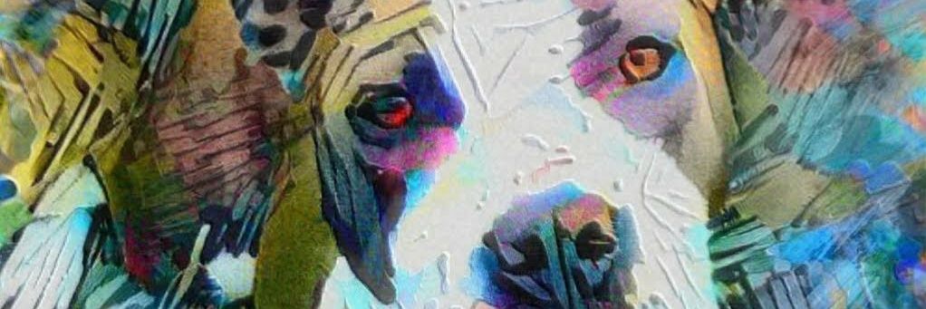 JSBR937's profile banner image