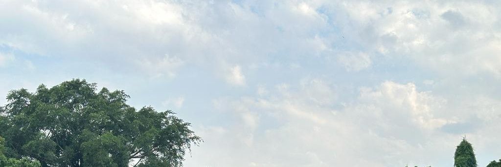 minulmino's profile banner image