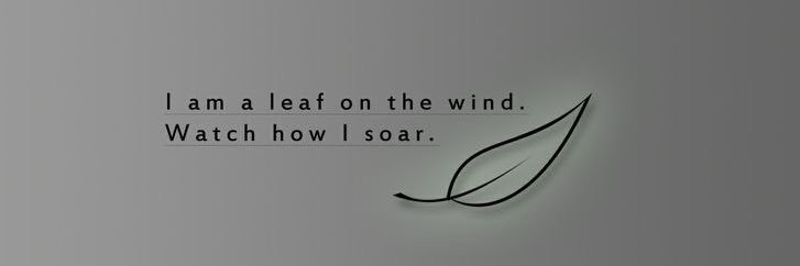 mlfrlcrs's profile banner image
