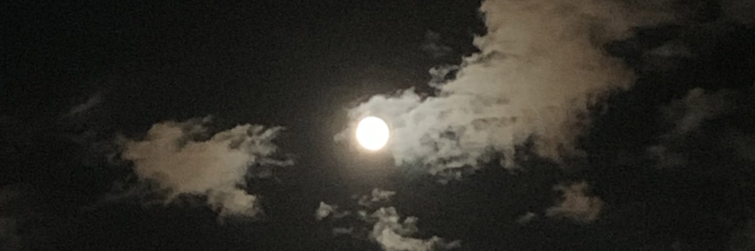 TimRobinson21's profile banner image