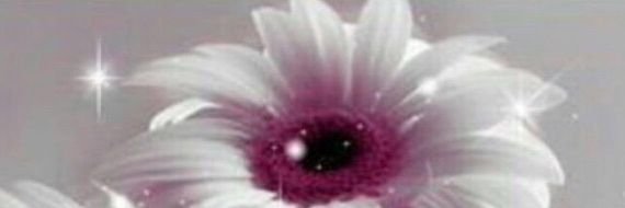 AlhakamiKhadija's profile banner image