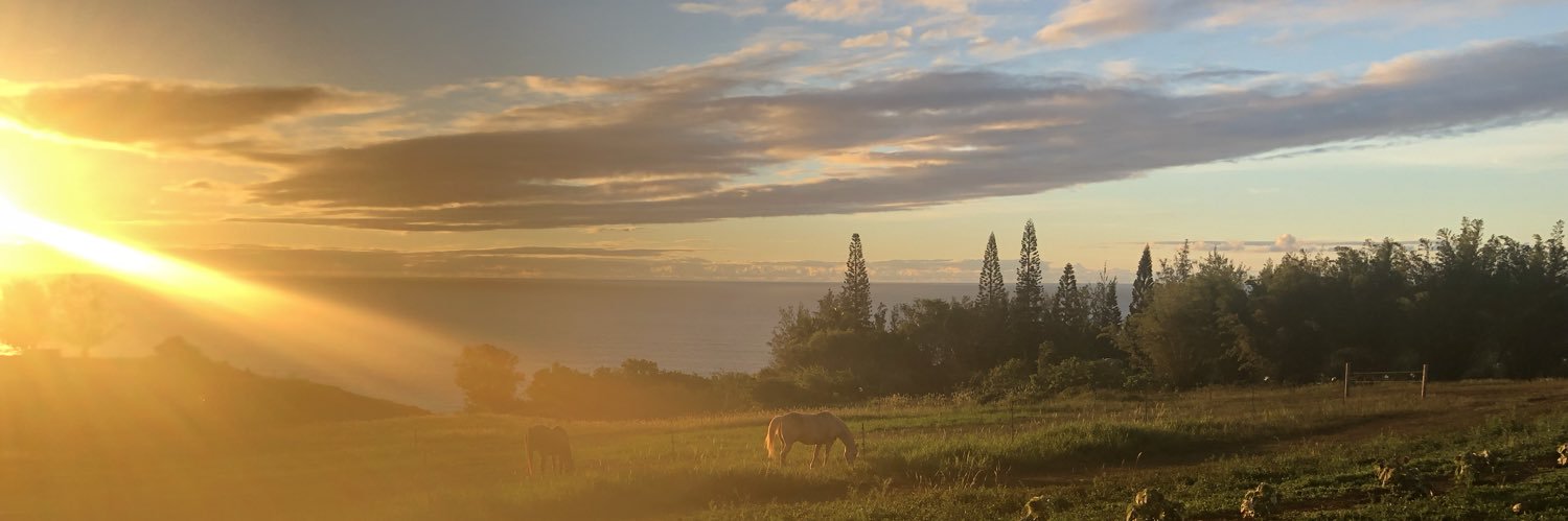Pena_J's profile banner image