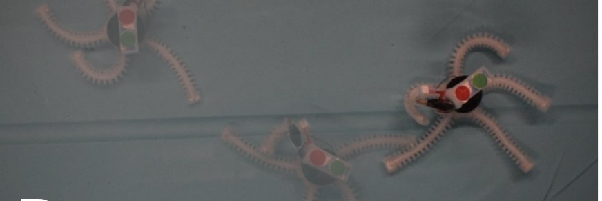 apsabelhaus's profile banner image