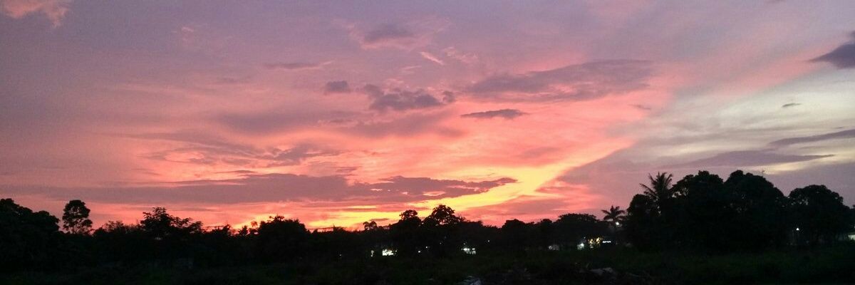 taribuana's profile banner image