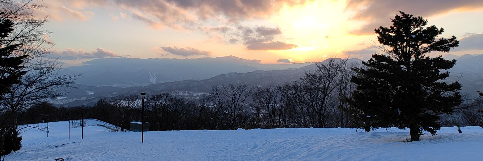 qibinn's profile banner image
