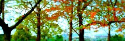 blueApple726's profile banner image