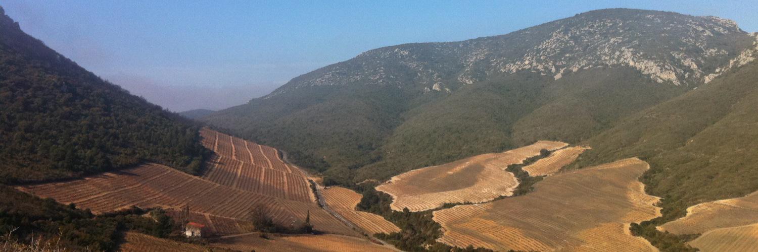 Sylvie Tonnaire banner