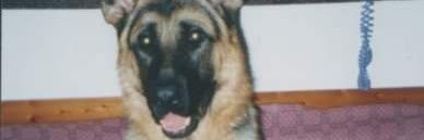 💜STEFANY💜 banner