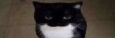 br_uh113's profile banner image