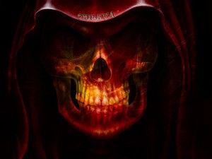 #Verfollow #Veracruz banner