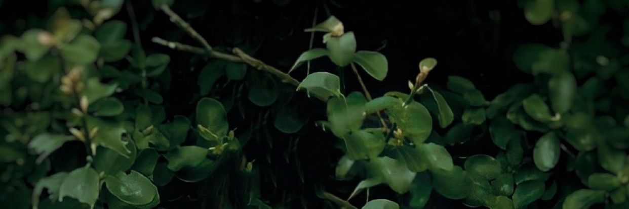 makhluke's profile banner image