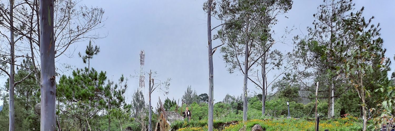 ElisaApriliani's profile banner image