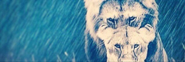 IAmTrayMunn's profile banner image