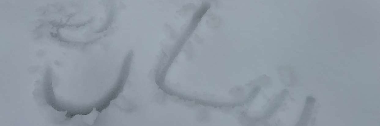 𝒔𝒂𝒓𝒂 ً banner