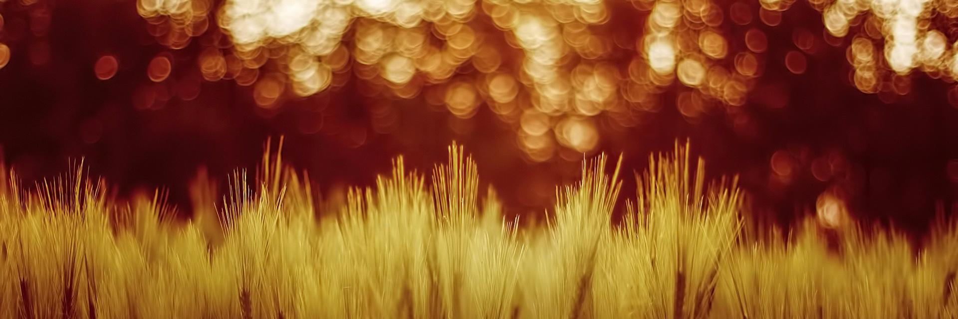 believeperform banner