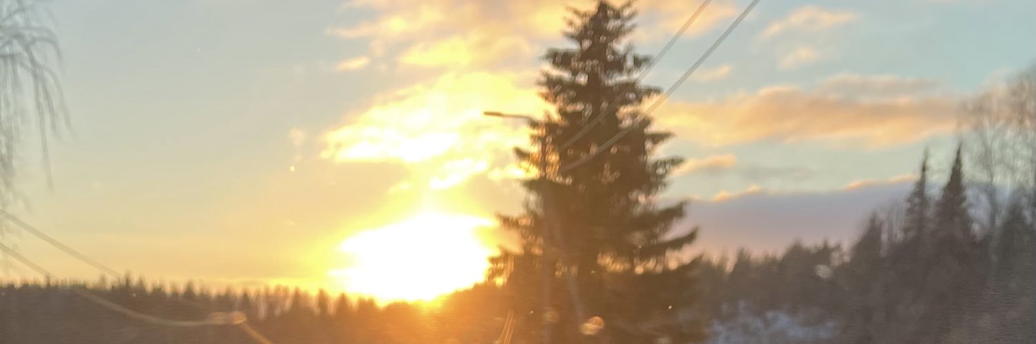 suunvuoro's profile banner image