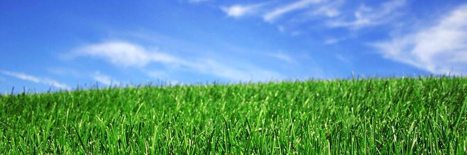 SoilRenew's profile banner image