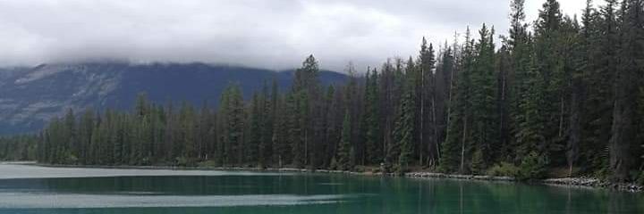 JazmineWoolsey's profile banner image