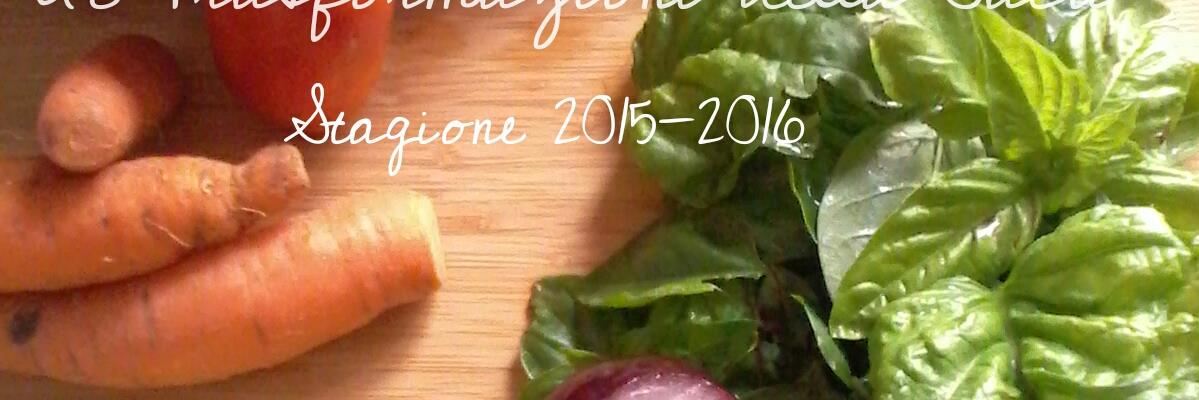 BachiniMarcella's profile banner image