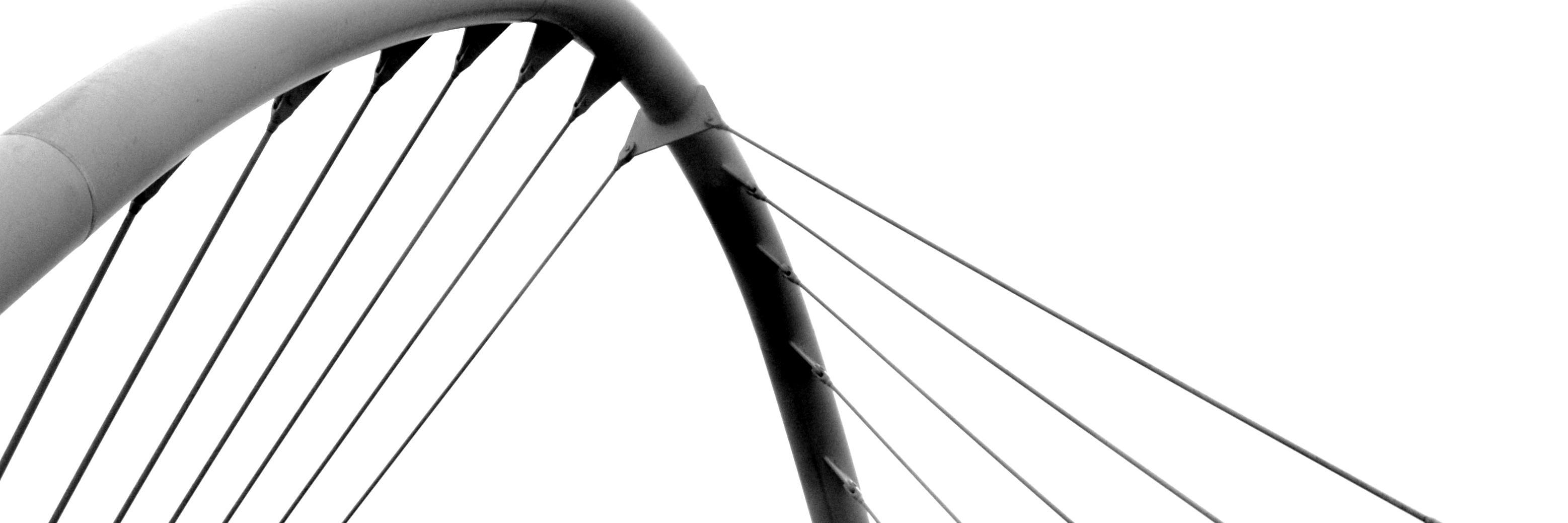 museum_scribe's profile banner image