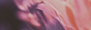 awalkwithlilly's profile banner image
